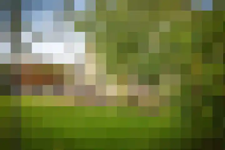 Brinklaan 32 Epe thumbnail 50