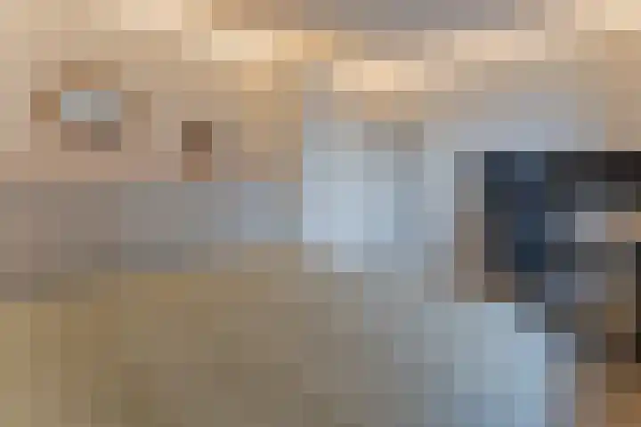 Brinklaan 333 Bussum thumbnail 13