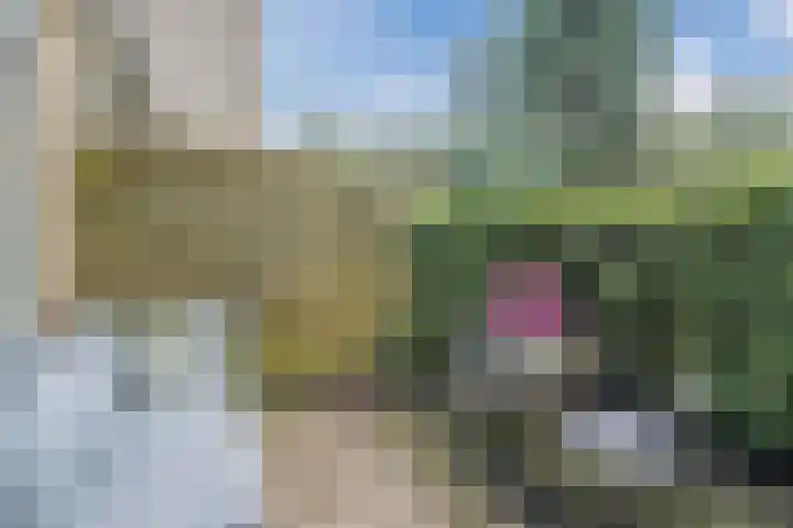 Brinklaan 333 Bussum thumbnail 17