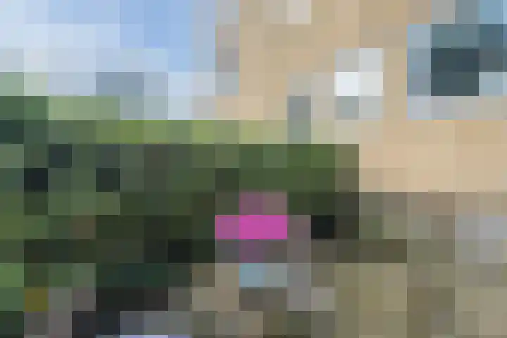 Brinklaan 333 Bussum thumbnail 20