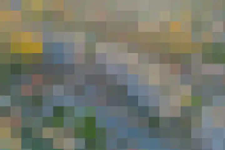 Brinklaan 333 Bussum thumbnail 29