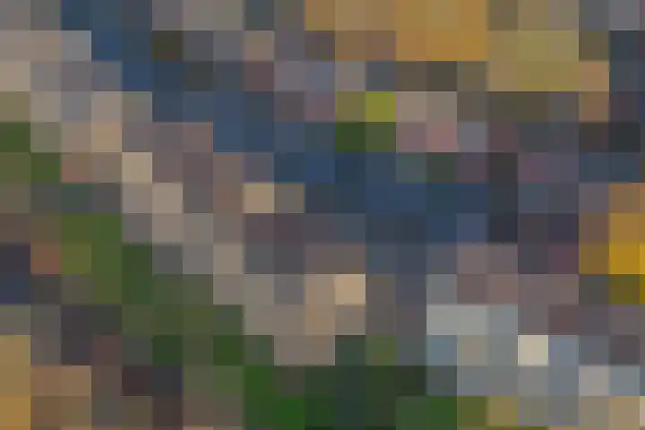 Brinklaan 333 Bussum thumbnail 30