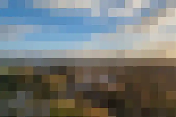 Brinklaan 333 Bussum thumbnail 35
