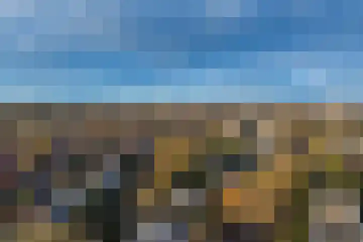 Brinklaan 333 Bussum thumbnail 36