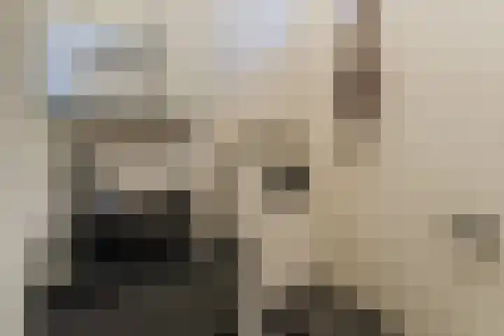 Brinklaan 333 Bussum thumbnail 9