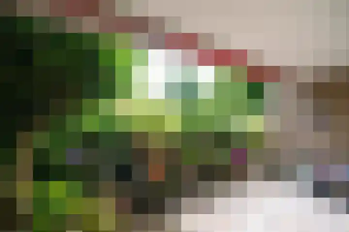 Brinklaan 384 Apeldoorn thumbnail 23