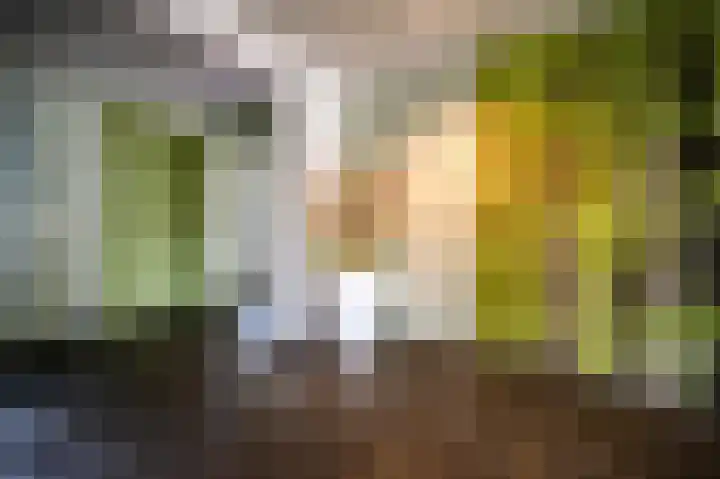 Brinklaan 384 Apeldoorn thumbnail 25