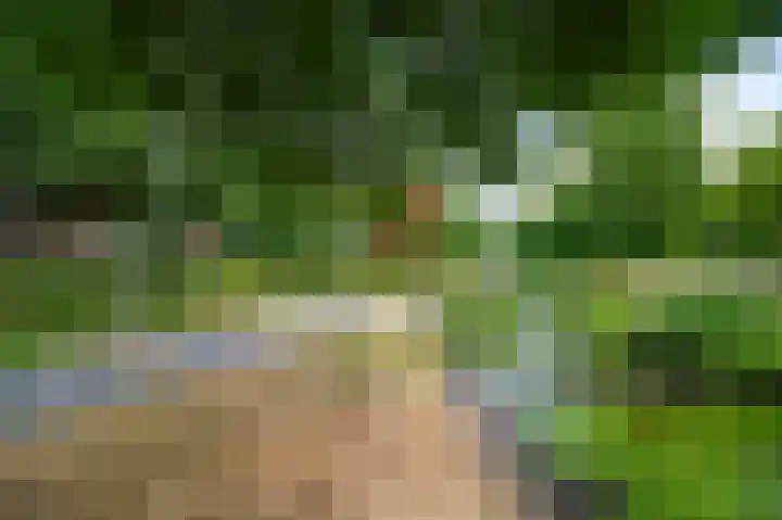 Brinklaan 384 Apeldoorn thumbnail 31