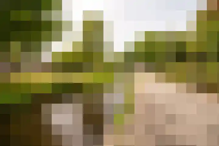 Brinklaan 384 Apeldoorn thumbnail 32