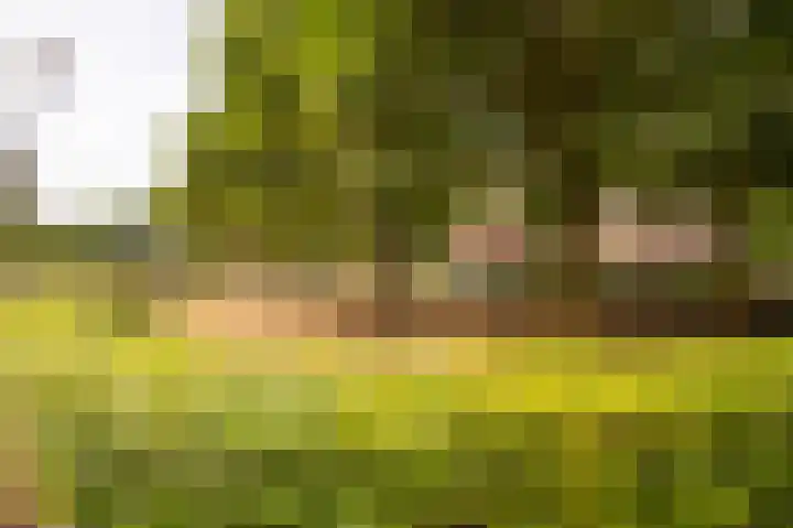 Brinklaan 384 Apeldoorn thumbnail 33