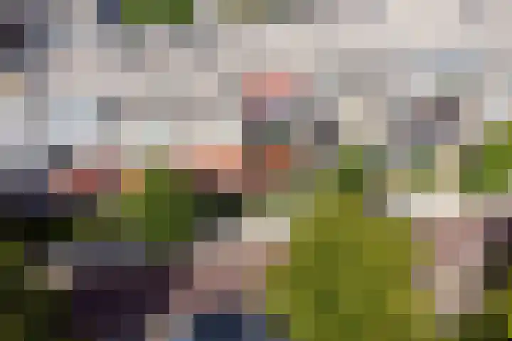 Brinklaan 384 Apeldoorn thumbnail 34