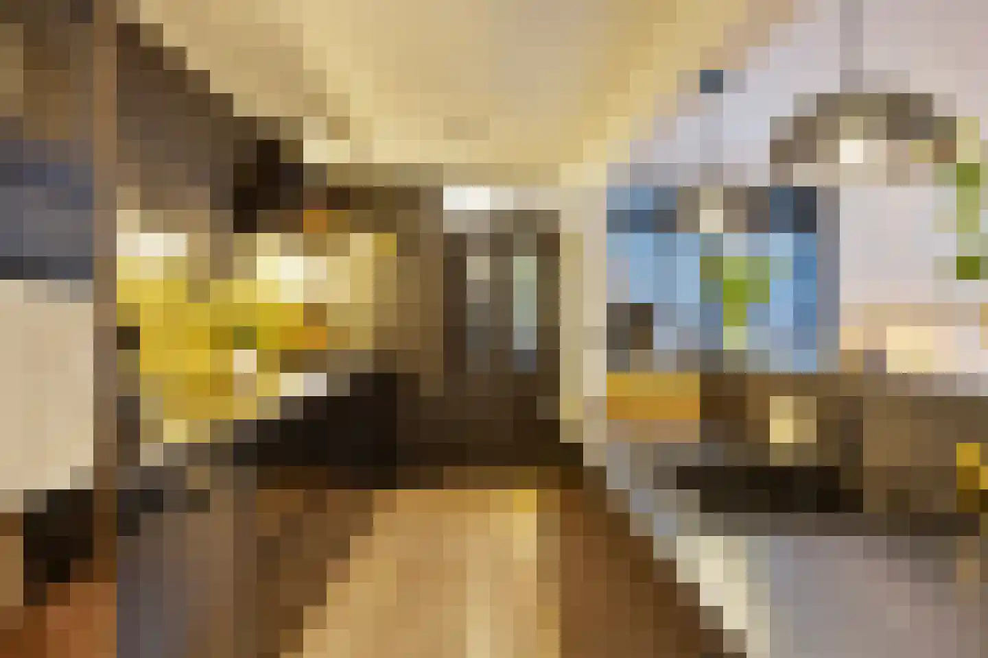 Brinklaan 41 Epe thumbnail 15