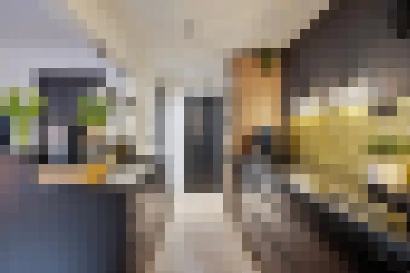 Brinklaan 41 Epe thumbnail 17