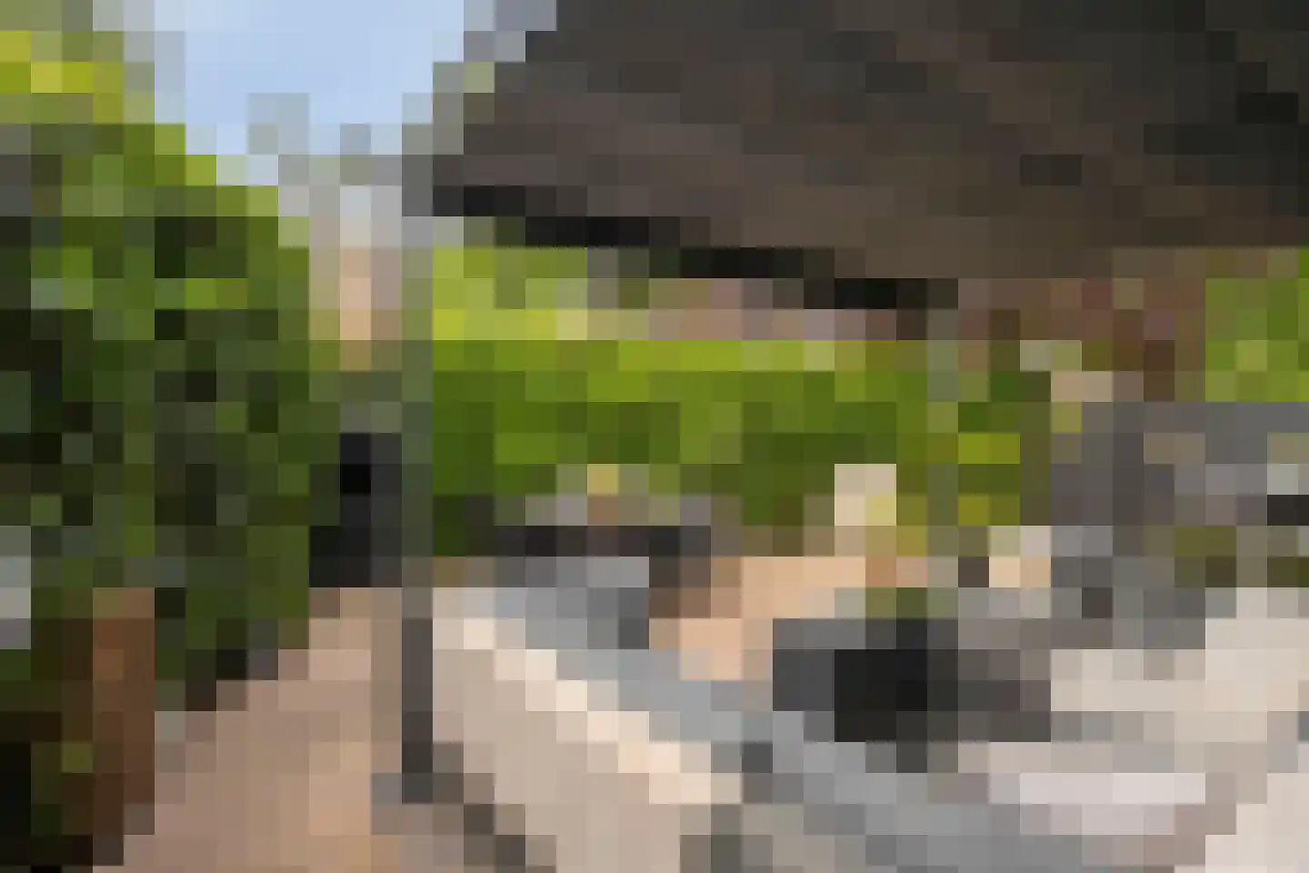 Brinklaan 41 Epe thumbnail 33