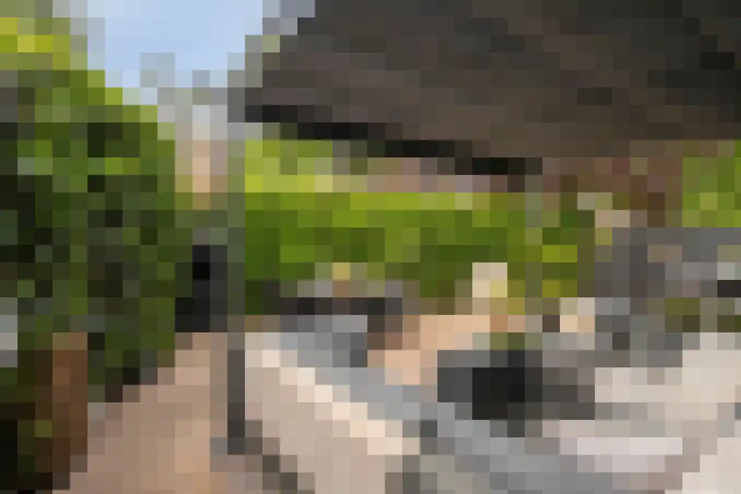 Brinklaan 41 Epe thumbnail 34