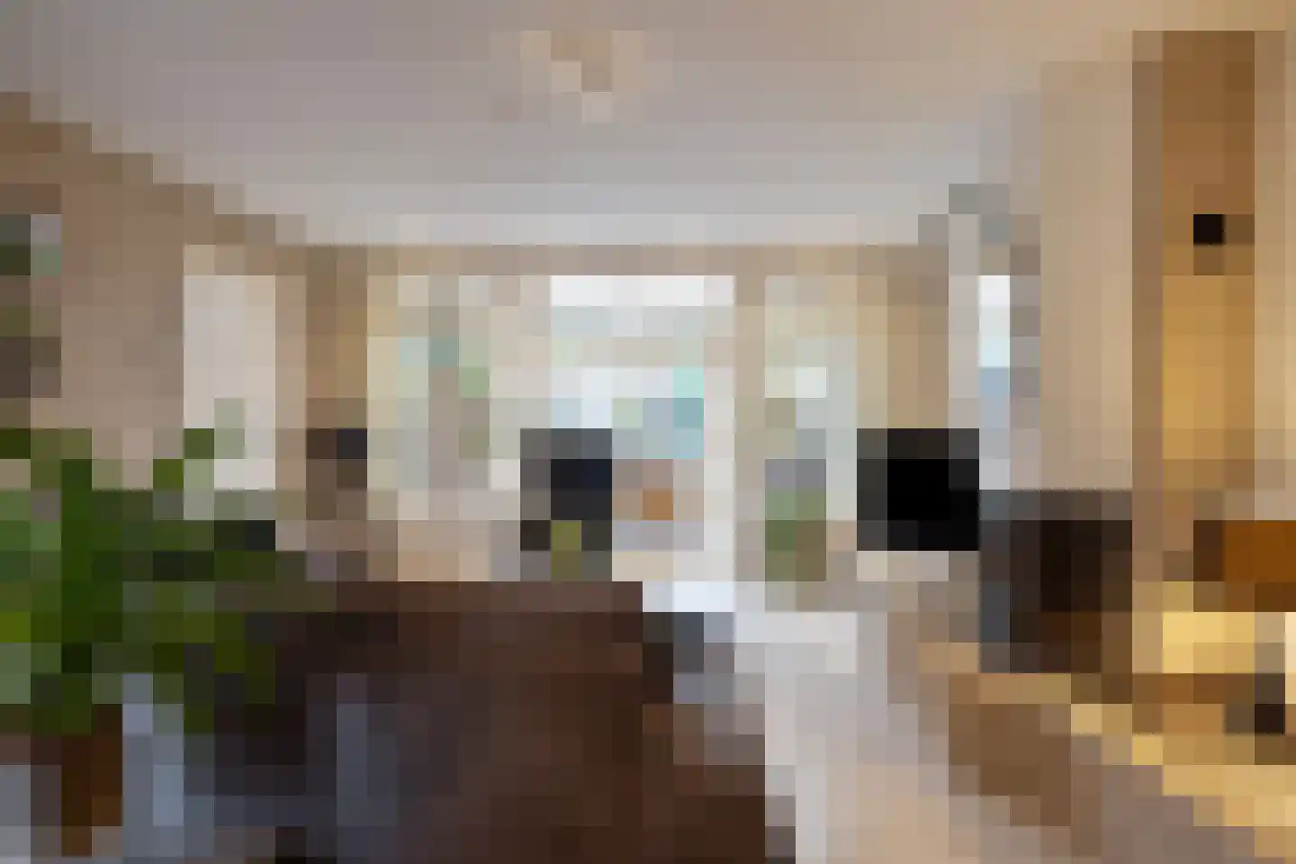 Brinklaan 41 Epe thumbnail 36