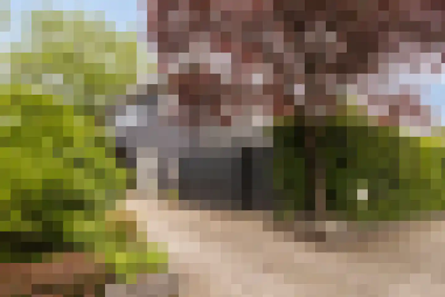 Brinklaan 41 Epe thumbnail 4