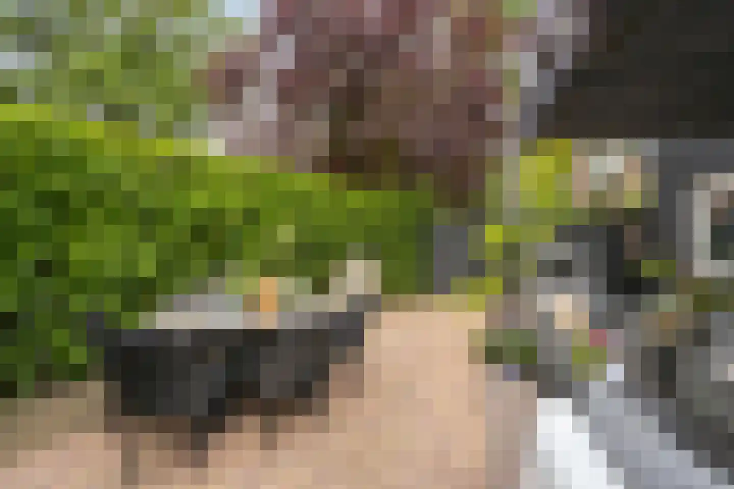 Brinklaan 41 Epe thumbnail 6