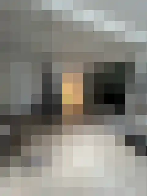 Brinklaan 58 Bussum thumbnail 4