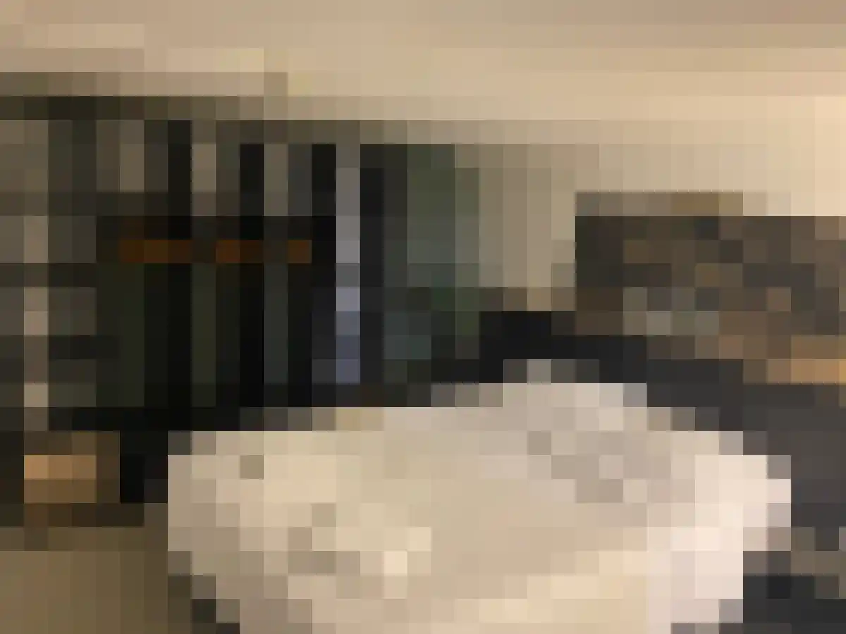 Brinklaan 58 Bussum thumbnail 6