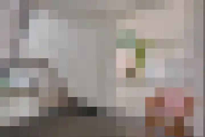 Brinklaan 66 Heerde thumbnail 20