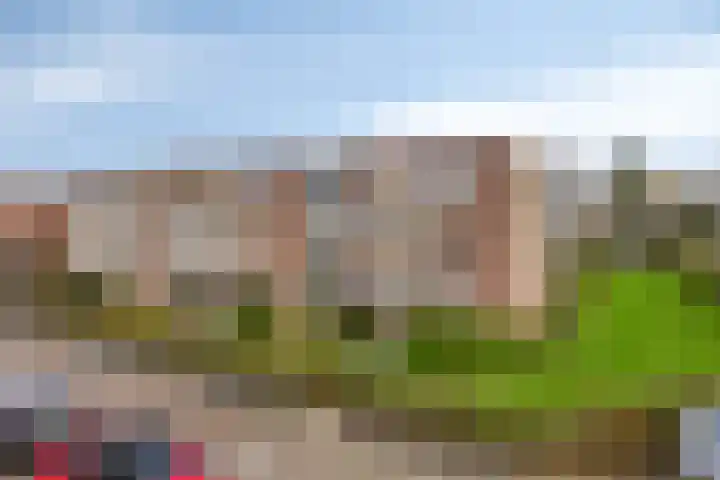 Brinklaan 66 Heerde thumbnail 21