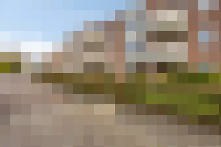 Brinklaan 66 Heerde thumbnail 24