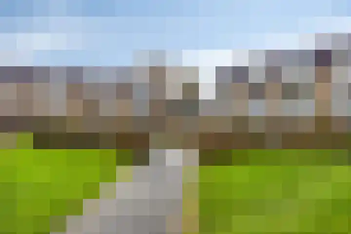 Brinklaan 66 Heerde thumbnail 25