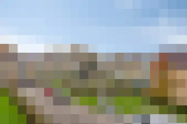 Brinklaan 66 Heerde thumbnail 26