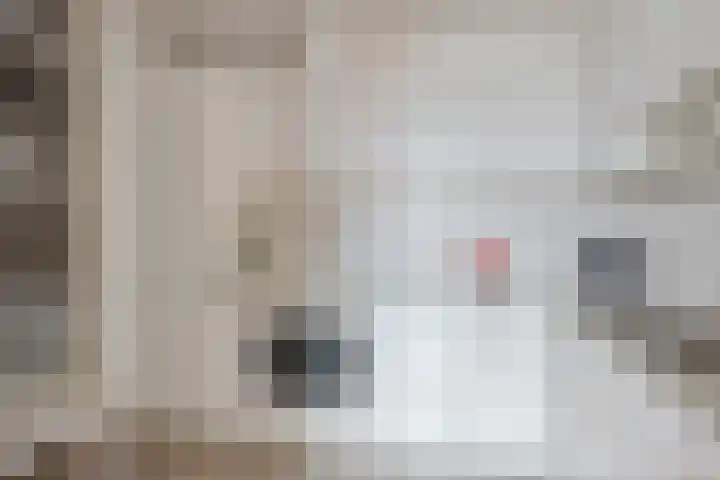 Brinklaan 66 Heerde thumbnail 8