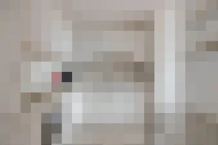 Brinklaan 66 Heerde thumbnail 9