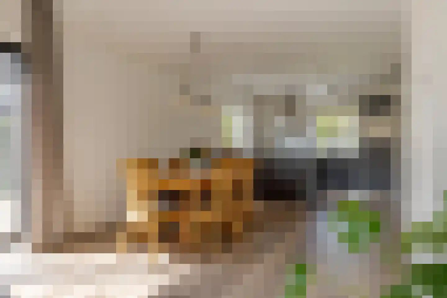 Brinklaan 7 Westerbork thumbnail 18
