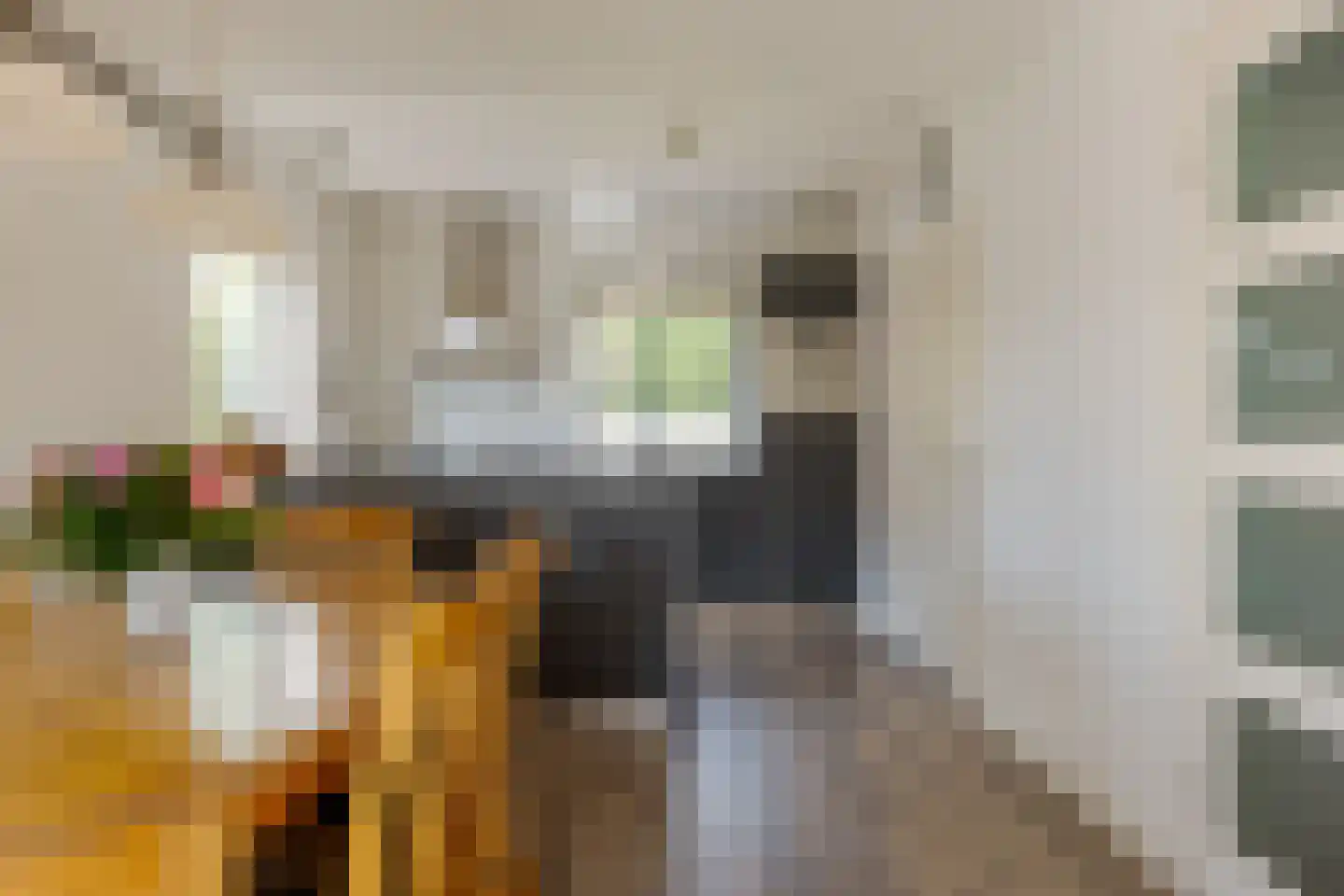 Brinklaan 7 Westerbork thumbnail 21