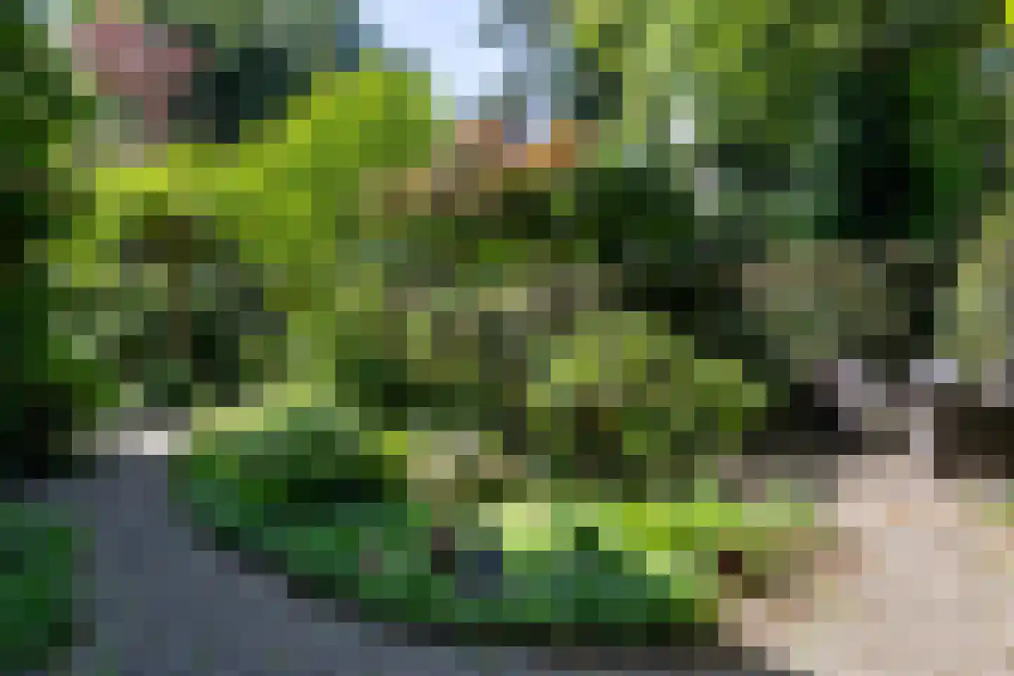 Brinklaan 76 A 5 Bussum thumbnail 27