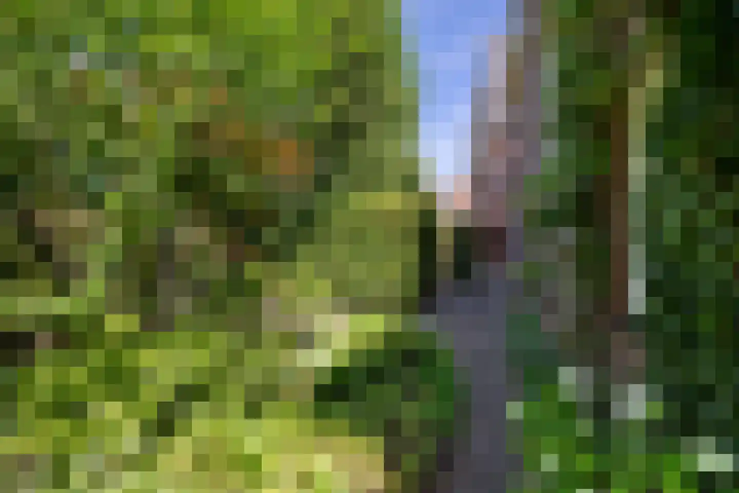 Brinklaan 76 A 5 Bussum thumbnail 30