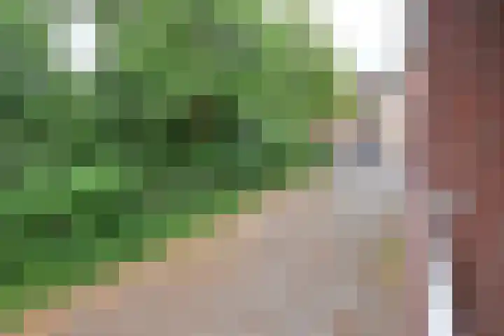 Brinklaan 76 B 10 Bussum thumbnail 13