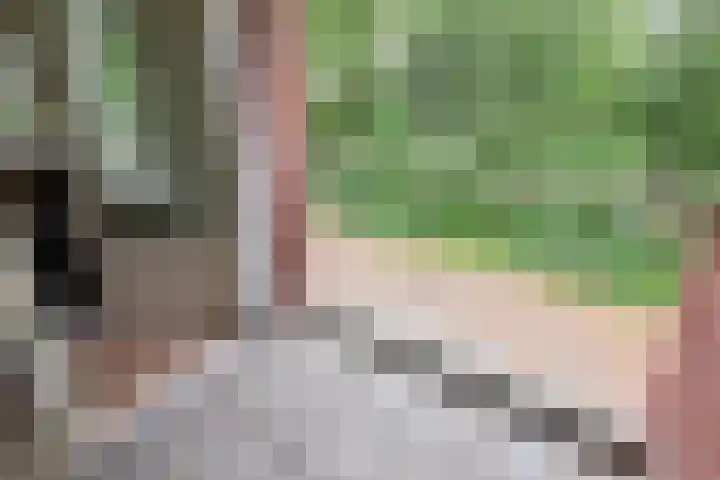 Brinklaan 76 B 10 Bussum thumbnail 8