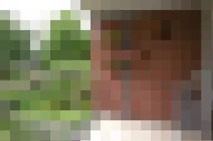 Brinklaan 76 B 6 Bussum thumbnail 7