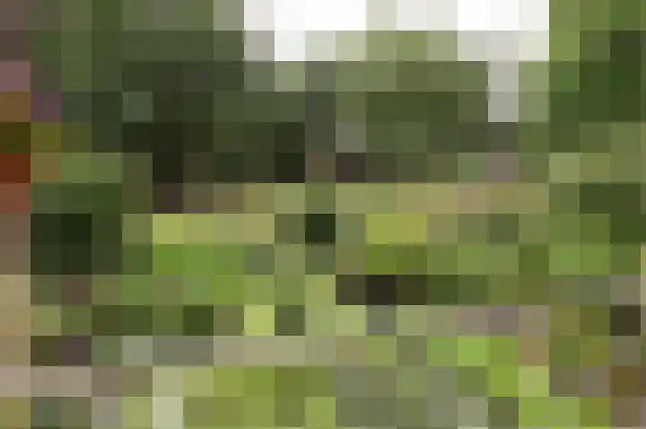 Brinklaan 76 B 6 Bussum thumbnail 8