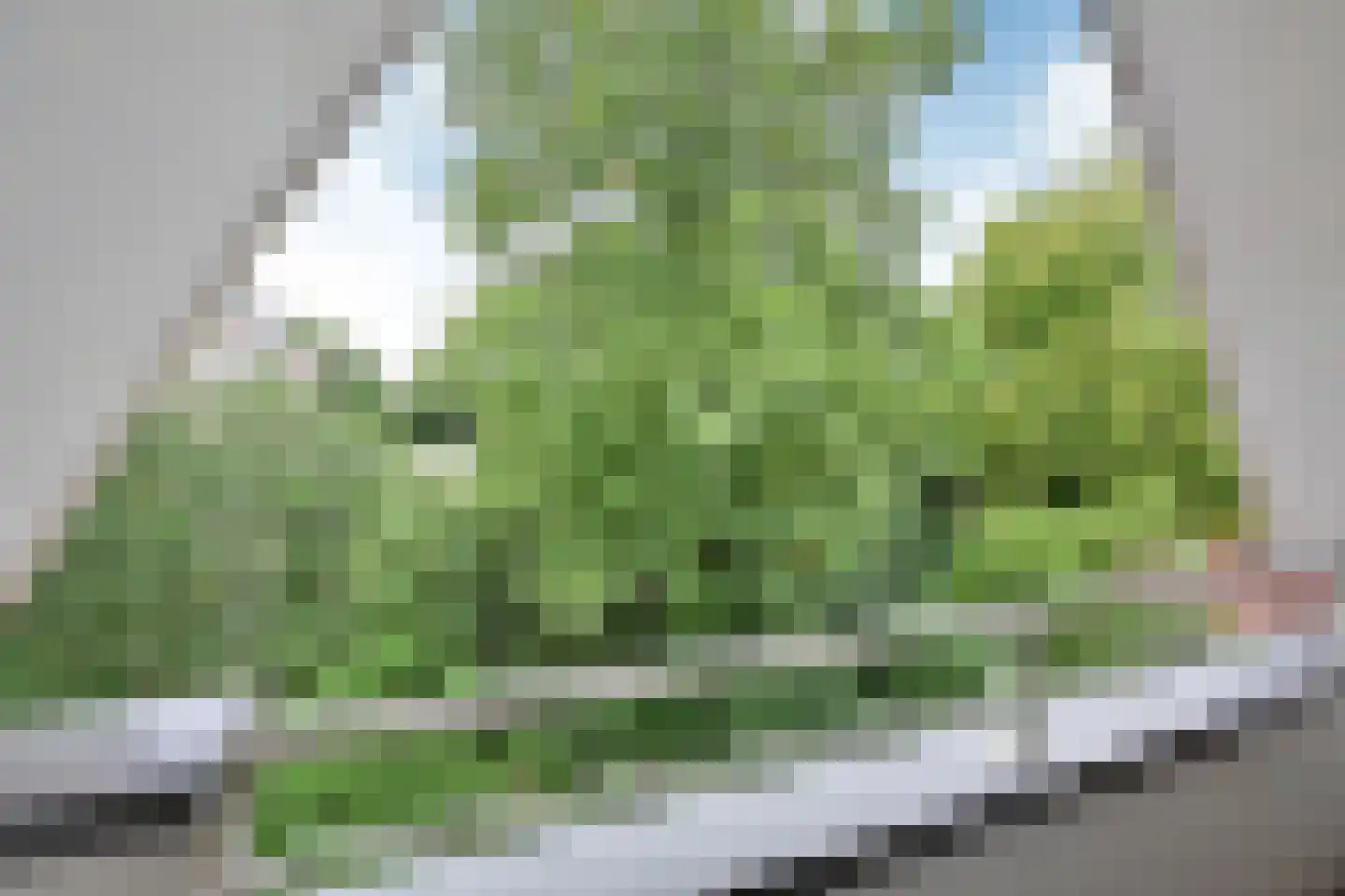 Brinklaan 76 C 11 Bussum thumbnail 11