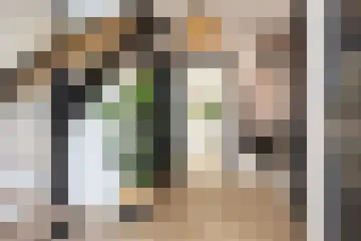 Brinklaan 76 Ruurlo thumbnail 10