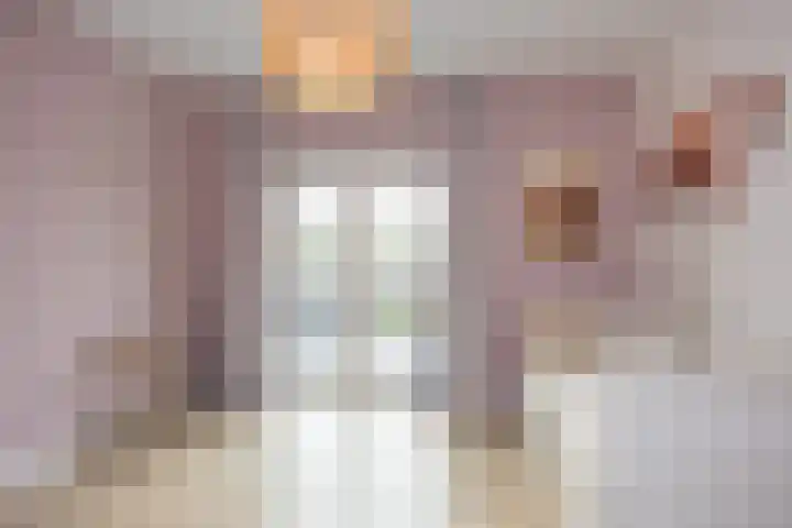 Brinklaan 76 Ruurlo thumbnail 33