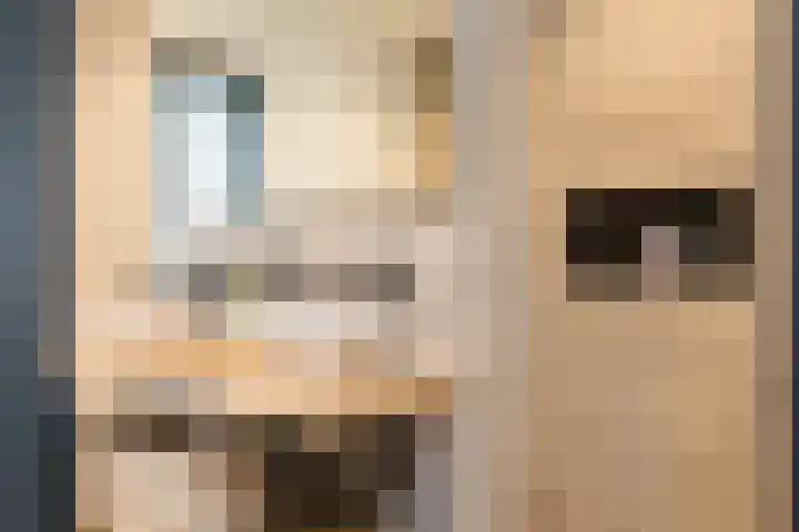 Brinklaan 76 Ruurlo thumbnail 34