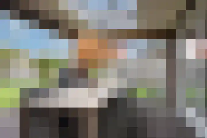 Brinklaan 76 Ruurlo thumbnail 41