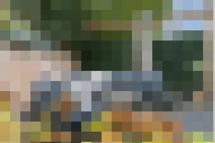 Brinklaan 76 Ruurlo thumbnail 45