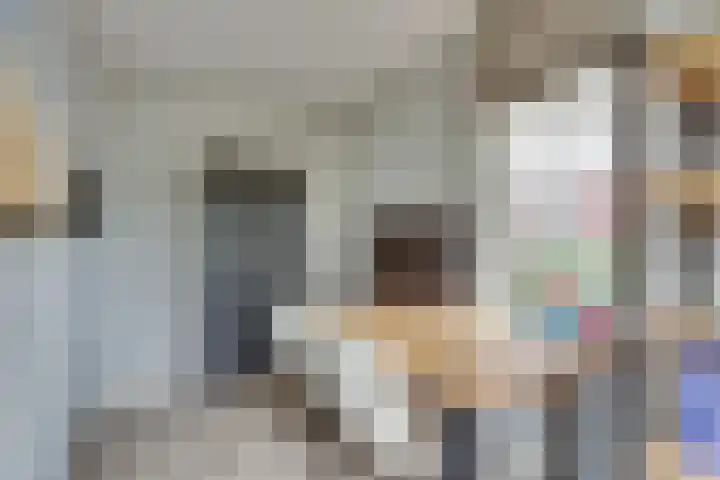 Brinklaan 78 Ruurlo thumbnail 10