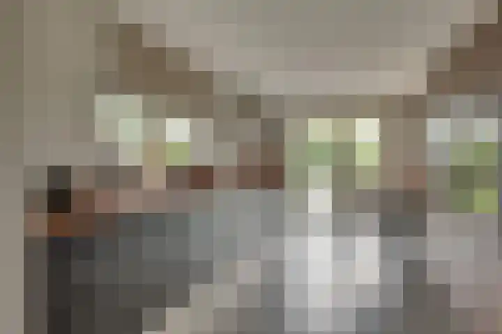 Brinklaan 78 Ruurlo thumbnail 13