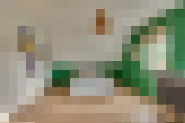 Brinklaan 78 Ruurlo thumbnail 22