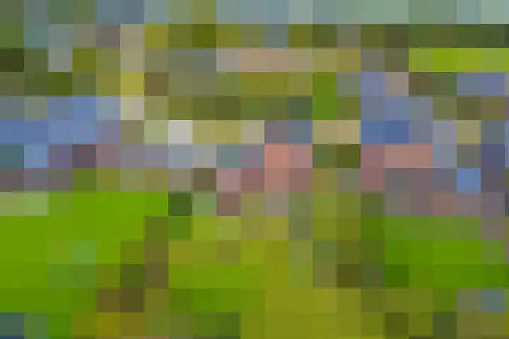 Brinklaan 78 Ruurlo thumbnail 26