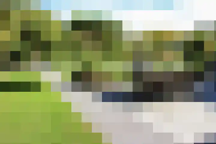 Brinklaan 78 Ruurlo thumbnail 27